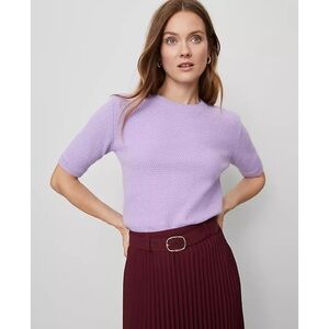Ann Taylor Petite Stitch Sweater Tee in Lavender Petal Size XL NWT